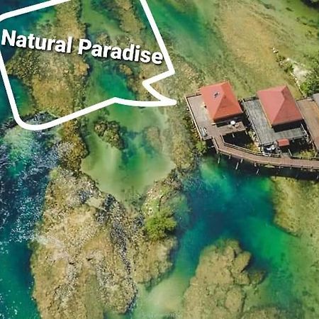 Natural Paradise ボサンスカ・クルパ エクステリア 写真
